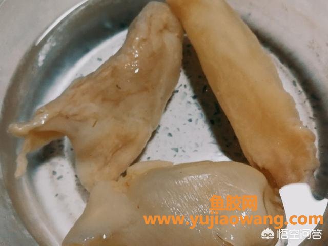 鱼胶可以炖牛奶一起炖吗(鱼胶炖牛奶是一起放进去炖吗？)