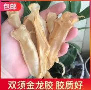 哪种鱼胶最好图片(鱼胶种类有几种？)