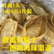 上海哪里有卖鱼胶粉(鱼胶如何磨粉？)