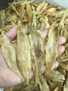 鱼胶猪手汤需要放什么(天天喝猪蹄花胶汤，只喝汤，不吃肉，会