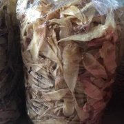 鸡肉可以和鱼胶一起煮吗(海鱼胶可以和鸡肉红萝卜一起炖吗？