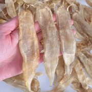 对高蛋白过敏的可以吃鱼胶吗(感冒咳嗽可以喝鱼胶汤吗？需要注