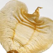 羊肚菌猴头菇鱼胶汤(怎么做花胶海参羊肚汤好吃？)