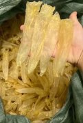 甲低可以吃鱼胶吗(鱼肚鱼胶能吃吗？)