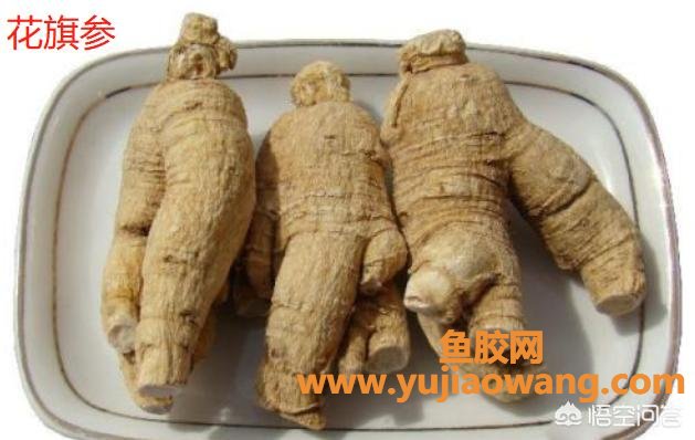 鱼胶煲瘦肉的做法大全(鸡肉炖鱼胶的家常做法大全怎么做好？)