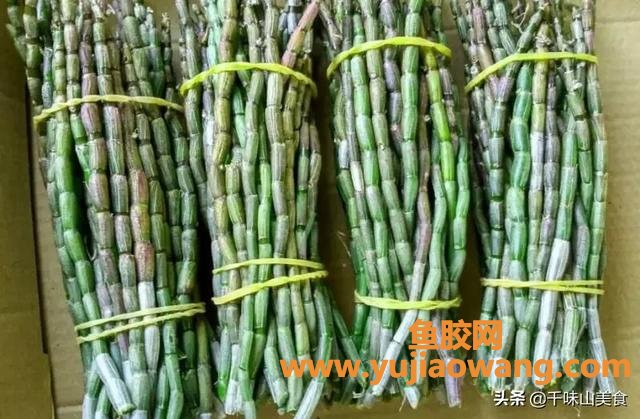 鱼胶煲瘦肉的做法大全(鸡肉炖鱼胶的家常做法大全怎么做好？)