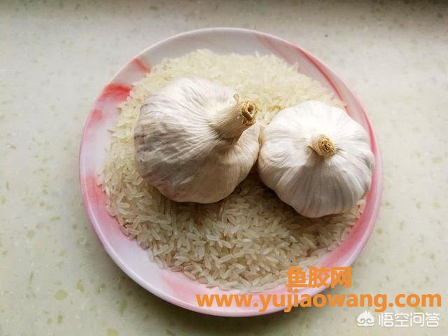 鱼胶长虫能晒掉吗(大米生虫了,能晒吗？)