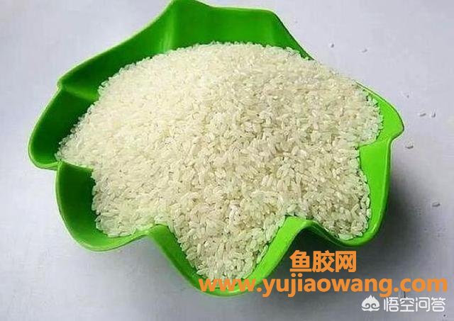 鱼胶长虫能晒掉吗(大米生虫了,能晒吗？)