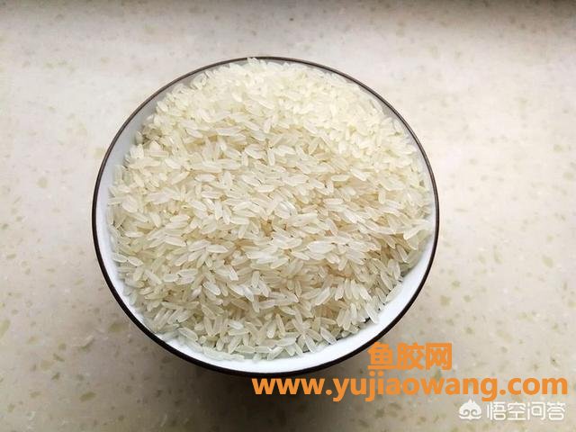 鱼胶长虫能晒掉吗(大米生虫了,能晒吗？)