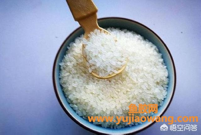 鱼胶长虫能晒掉吗(大米生虫了,能晒吗？)