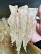 小孩可以吃鱼胶银耳桂圆汤吗(十个月的宝宝可以喝桂圆银耳大枣