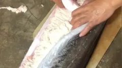 鱼胶红枣炖牛奶做法大全(鱼胶能煮牛奶吗？该怎么做？)