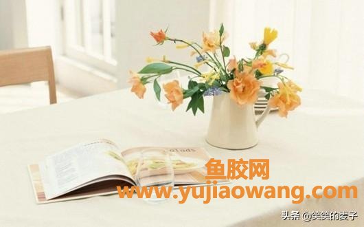 做酸奶的时候放鱼胶(做酸奶的时候加奶油吗？)