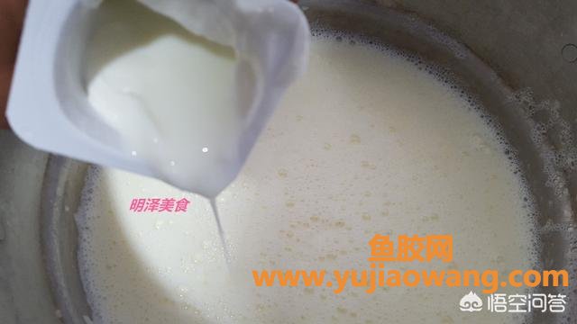 做酸奶的时候放鱼胶(做酸奶的时候加奶油吗？)