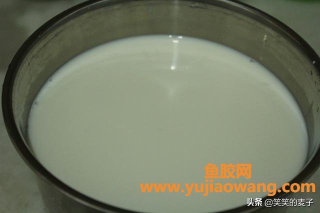 做酸奶的时候放鱼胶(做酸奶的时候加奶油吗？)