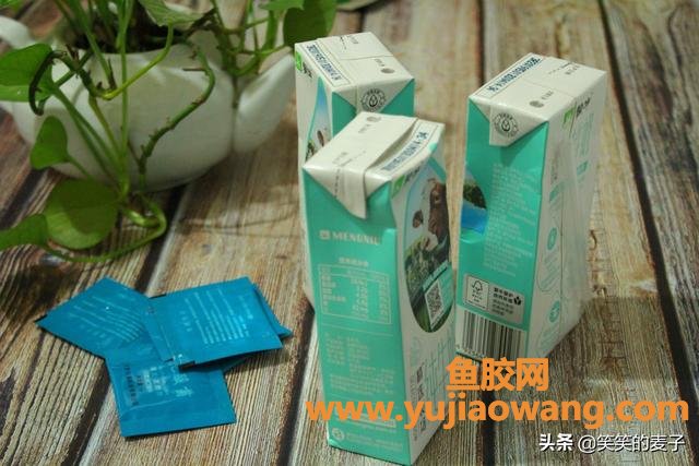做酸奶的时候放鱼胶(做酸奶的时候加奶油吗？)