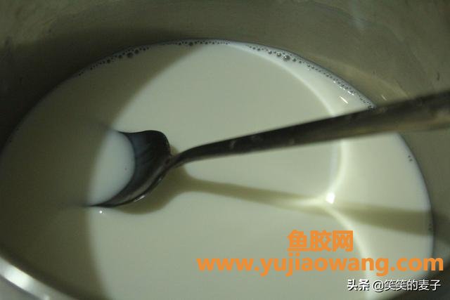 做酸奶的时候放鱼胶(做酸奶的时候加奶油吗？)