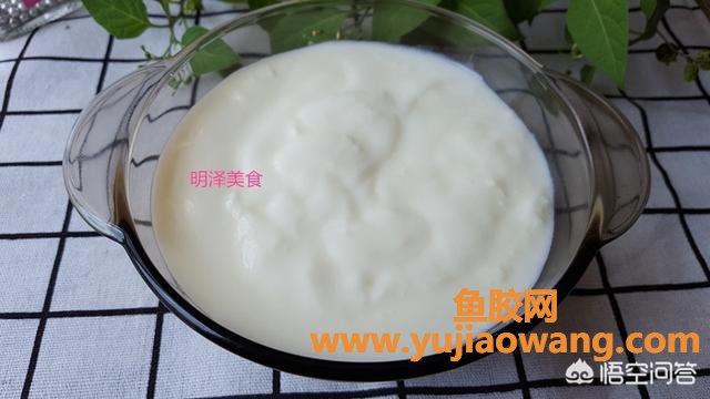 做酸奶的时候放鱼胶(做酸奶的时候加奶油吗？)