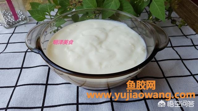 做酸奶的时候放鱼胶(做酸奶的时候加奶油吗？)