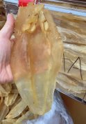 鱿鱼胶囊有什么作用()