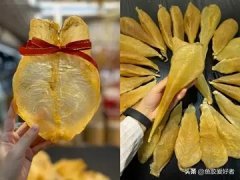 鱼胶可以炒西芹吗(凉拌午子鱼肚怎么做？)