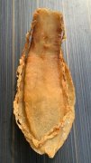 什么鱼胶修复子宫(产后坐月子，吃什么有利于子宫恢复？)