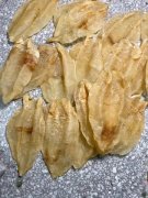 鱼胶能和三七一起服用吗()