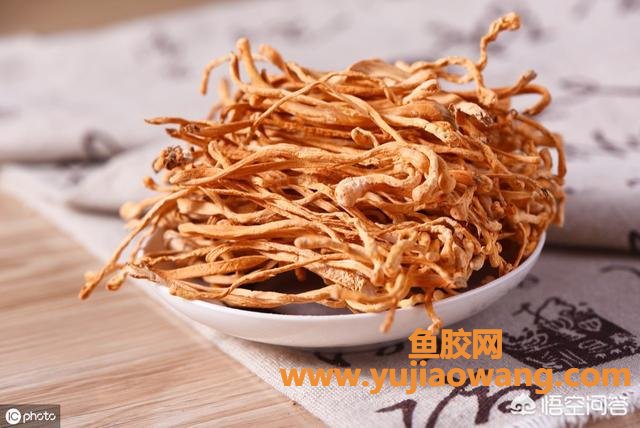 虫草花可以和鱼胶一起炖吗(姬松茸、花胶、山药、虫草花适合一起煲汤
