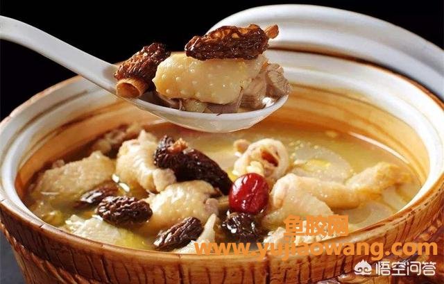 鱼胶乌鸡虫草花可以一起炖吗(虫草花配什么材料煲汤？)