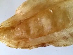 鮸鱼胶孩子能吃吗(儿童可以吃鱼胶吗？)
