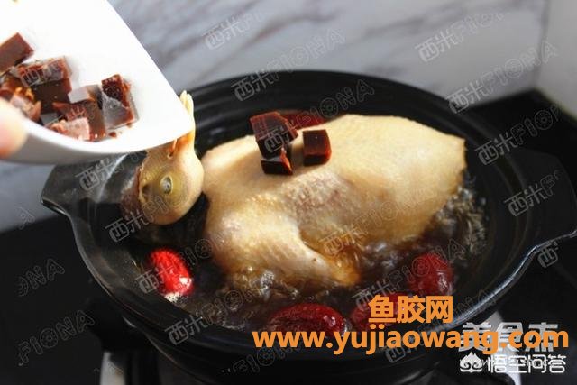 阿胶和鱼胶一起炖的做法(花胶乳鸽炖阿胶的做法？)
