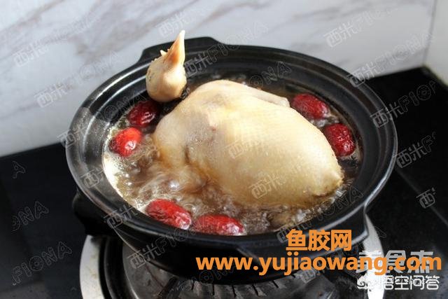 阿胶和鱼胶一起炖的做法(花胶乳鸽炖阿胶的做法？)