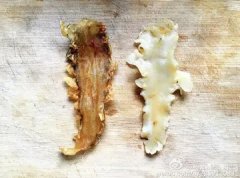 鸭肉炖鱼胶放什么材料好(鱼胶炖什么好？)