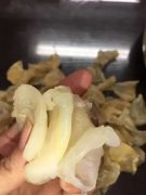 孕妇吃鱼胶的禁忌(孕妇吃鱼胶的禁忌是什么？)