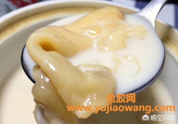 鱼胶炖牛奶甜品的做法(牛奶炖花胶的正宗做法是什么？牛奶炖花胶怎样