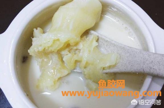 鱼胶炖牛奶甜品的做法(牛奶炖花胶的正宗做法是什么？牛奶炖花胶怎样