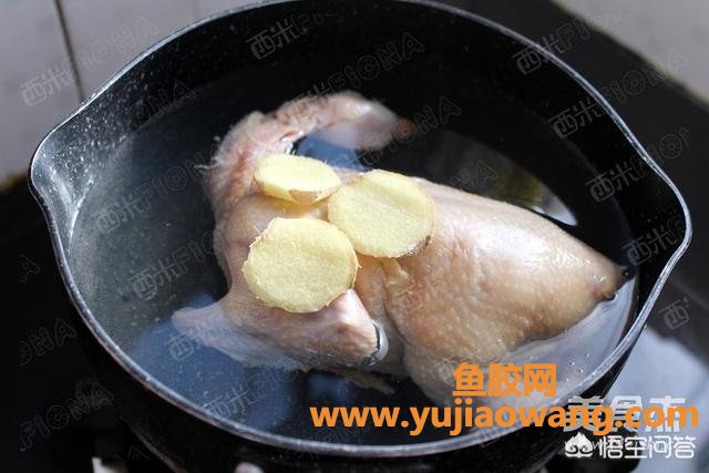 花旗参阿胶炖鸽子汤鱼胶(花胶乳鸽炖阿胶的做法？)