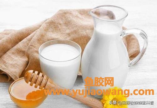 鱼胶牛奶蜂蜜可以一起吃吗(蜂蜜可以和牛奶一起喝吗？)