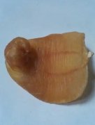 冰糖洋参炖鱼胶的做法(鱼胶都有哪些吃法？)