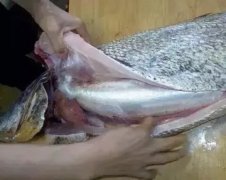 鱼胶跟地黄可以一起煮吗(土茯苓适宜配什么煲汤？)