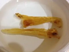 鱼胶香菇红枣鸡汤的功效(花胶、花旗参、红枣、枸杞一起煲汤有