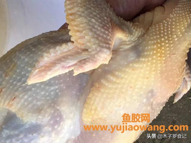 猪肚鱼胶能放胡椒吗(瑶柱花胶猪肚鸡汤的做法步骤图，怎么做好吃？
