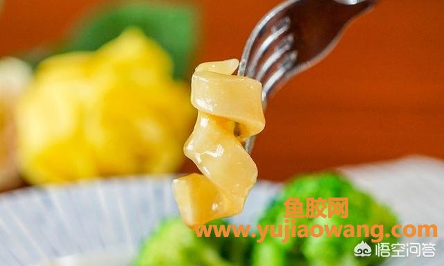 鱼胶可以和红枣老鸡一起炖吗(花胶羊肚菌松菌能一起煲汤？)