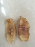 鱼胶给男孩吃了睡有好处吗(孩子可以吃鱼胶吗？)