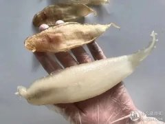白木耳炖鱼胶的功效与作用(吃花胶和燕窝对身体有哪些帮助？