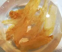 夏天可以吃鱼胶吗鱼胶可以煮咸的吗(鱼胶要怎样炖煮才能更有营