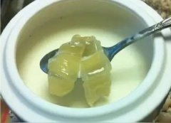 什么品种的鱼胶最好(哪个品种什么鱼胶最好？)