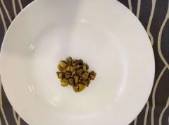 鱼胶是干的还是湿的(鱼胶要泡多久？)
