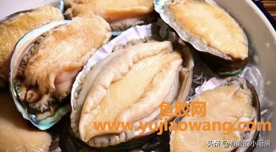 棷子鸡炖鱼胶汤可以吃吗(椰子鸡要老椰子还是嫩椰子？)