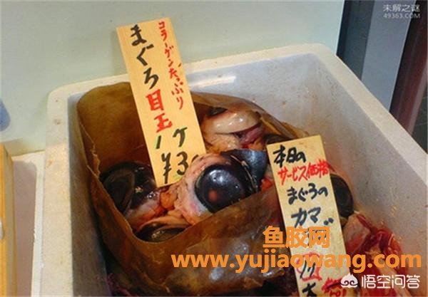 金枪鱼胶原蛋白作用怎样服用(怎样补充胶原蛋白？胶原蛋白软糖合适吗